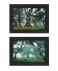 "Enchanted Forest Collection" 2-Piece Vignette By Martin Podt, Ready to Hang Framed Print, Black Frame