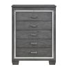 Modern Bedroom Gray Finish 1pc Chest of 5x Dovetail Drawers Beveled Mirror Trim Wooden Furniture Faux Crystal Handles