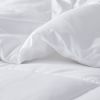 Energy Recovery Oversized Down Alternative Comforter